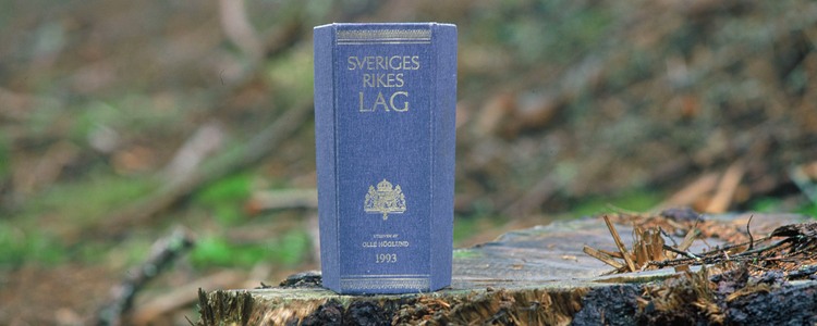 Lagboken på en stubbe i skogen.