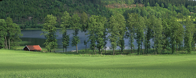 Skogs- och jordbrukslandskap. Foto: Michael Ekstrand