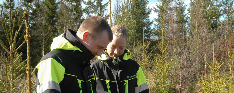 Arbete ute i skogsmiljö