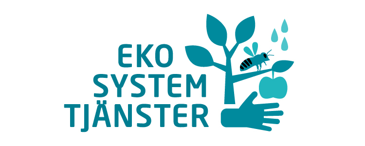 Logotyp Eko System Tjänster