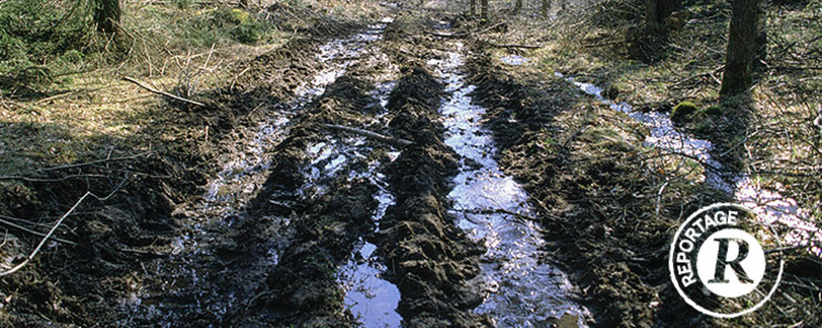 Körskada. Foto Michael Ekstrand