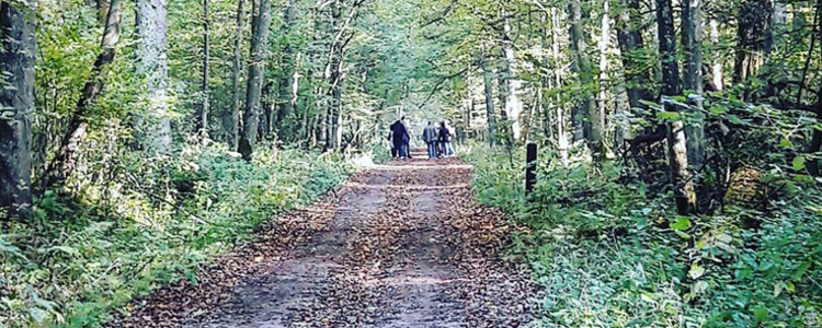 Studiebesök Bialowieza.