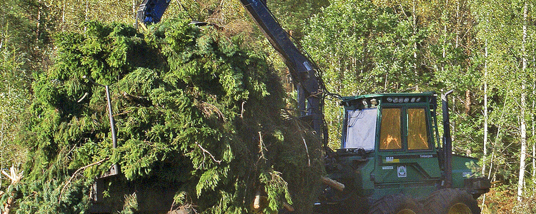 Skogskötselserien omslag. Foto: Stefan Andersson