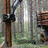 Skogskötselserien omslag. Foto: unknown