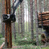 Skogskötselserien omslag