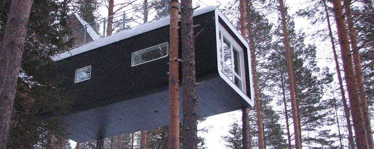 Hotell uppe i ett träd.