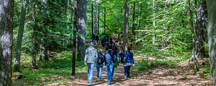 Grupp människor i Brunnsskogen. Foto: Yaman Albolbol