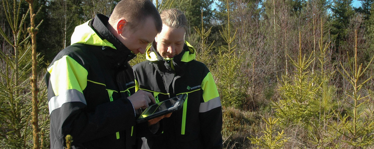 Arbete ute i skogsmiljö