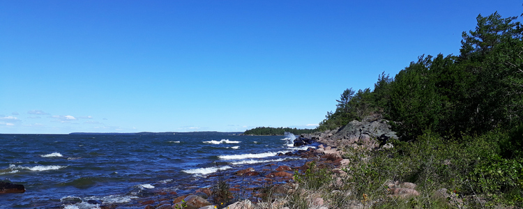 En bit av kusten utmed Vänern. Foto.