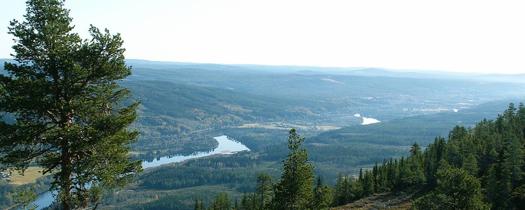 Klarälven i Värmland. Foto.