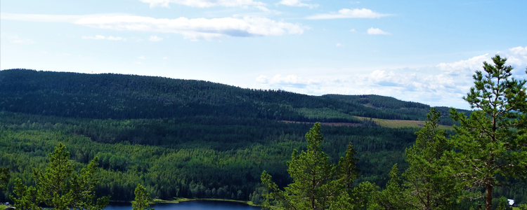 Utsikt från Brattlandsberget i Örnsköldsviks kommun. På bilden ser vi Utbysjön som ligger längs med Höga kusten-leden. Foto.