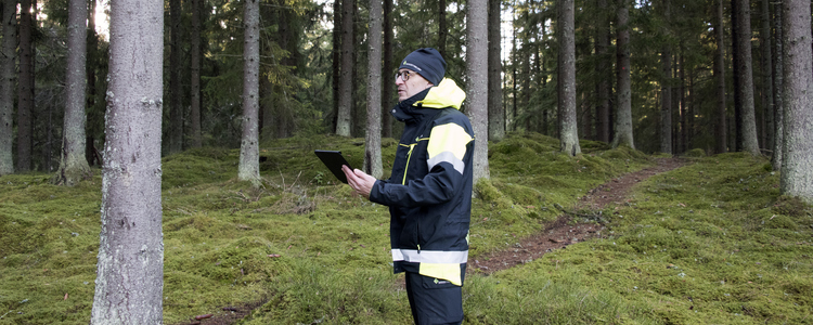 En person står i skogen med en platta i handen. Han bär kläder med Skogsstyrelsens logotyp.