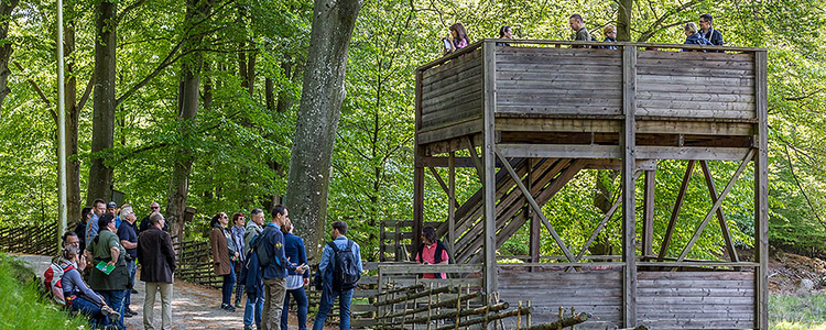 A group of people standing in a park.