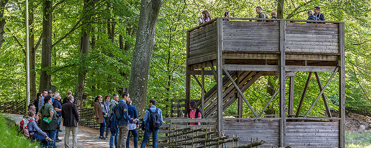 A group of people standing in a park. Foto: Yaman Albolbol