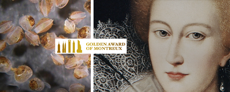 Grip on Lifes film Svenska pärlor tilldelas guld i tävlingen Golden Award of Montreux.