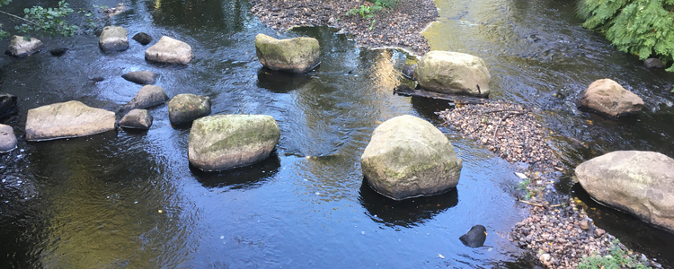 Ett vattendrag med grus och stenar som bromsar upp vattnets farmfart