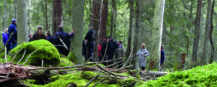 En grupp människor står och samtalar i skogen 