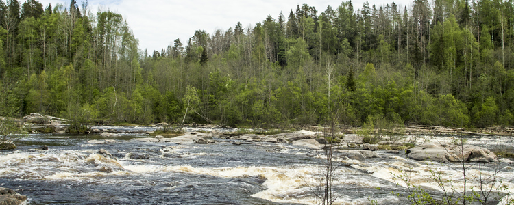 Ett Natura 2000-vattendrag. Foto: Michael Ekstrand