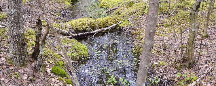 Reduced sediment load, Sweden