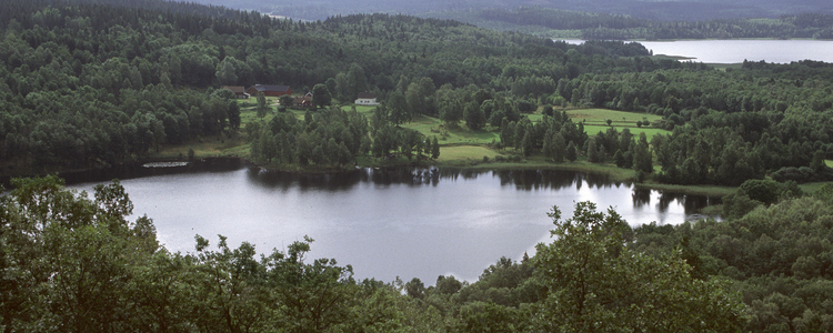 Landscape with forest and a lake. Foto: Michael Ekstrand