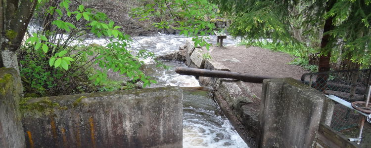 Leaching water. Foto: Louise Elm