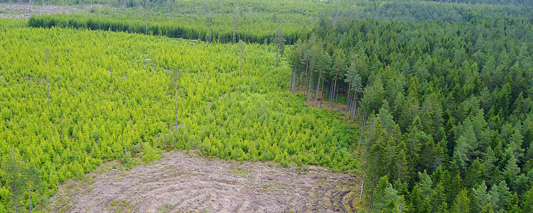 Landskap, bild tagen med drönare.