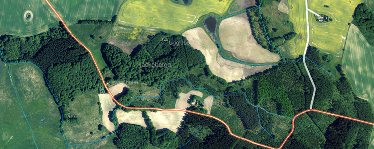 Picture over forest landscape taken from above.
