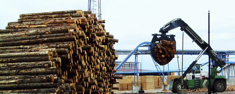 Large pile of wood at a saw mill.