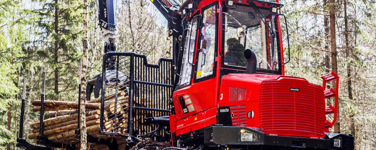 Loading of timber in forest.