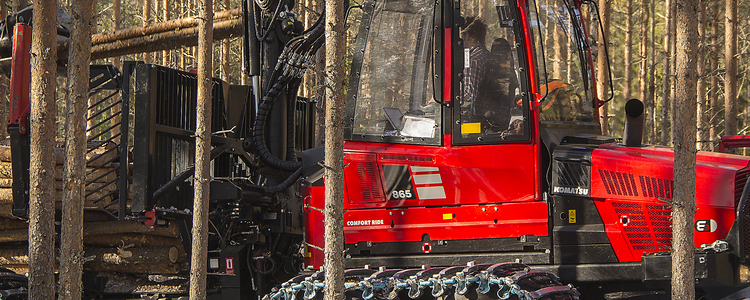 Transport of stocks in thinning forest.