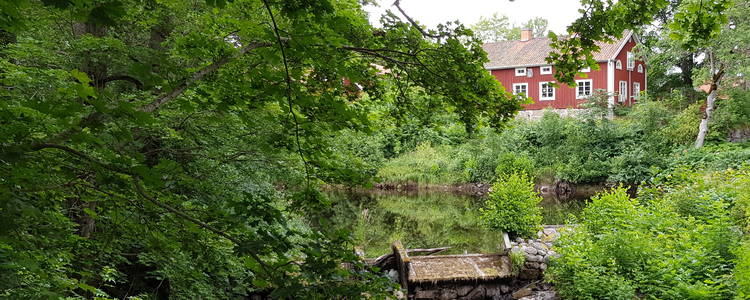 Lummig sommarmiljö från Järle Kvarn med forsande å, grönskande träd och äldre röda hus med vita knutar