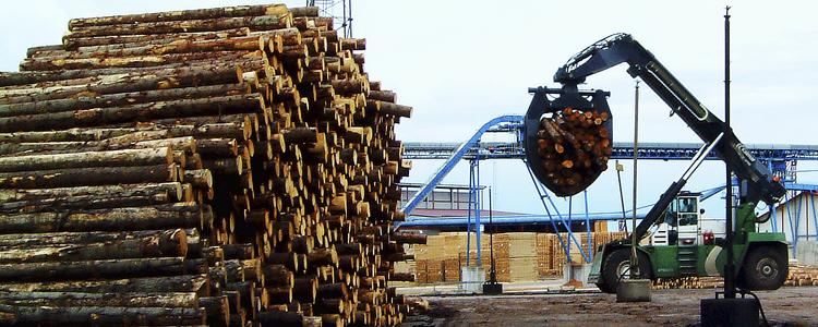 Timmertravar vid ett sågverk. Foto: Henry Stahre
