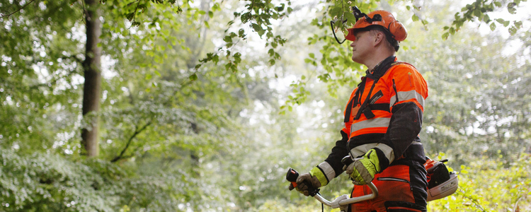 En manlig skogsarbetare, klädd i orange arbetskläder står med röjsågen och ser ut över en lövskog.