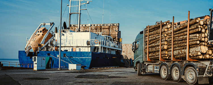 Green truck carrying pulpwood to the cargo ship in the port. Summer time. Close up. Copy space. Foto: Adobe Stock