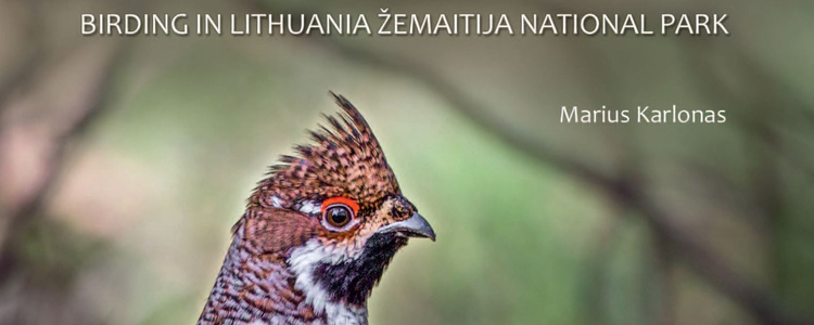 Birdwatching guide of Lithuania, bild från guideboken som skapats inom projektet