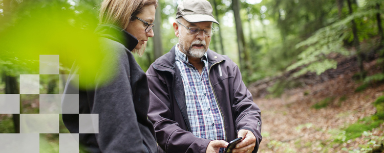 En skogskonsulent och en skogsÃ¤gare tittar tillsammans pÃ¥ kartprogram (Field maps) i telefon omgivna av bokskog. Foto: Jenny Leyman