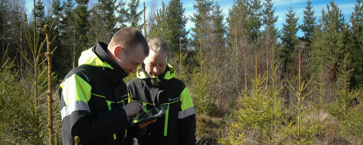 Arbete ute i skogsmiljö. Foto: Anna Pettersson