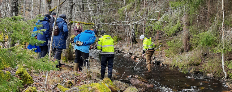 Träff med Spillkråkan och Emåförbundet vid demoslingan Sandvadsbäcken-Emån. Foto: Carina Pålsson