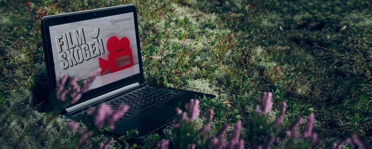 Computer lying on moss in the forest. Use wi-fi networks inaccessible places.