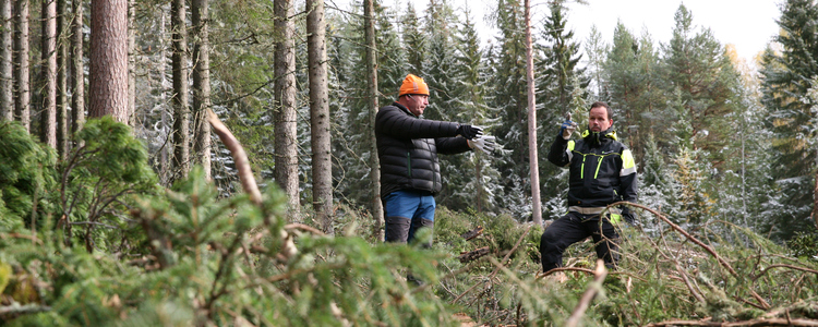 Samtal i skogen mellan skogskonsulent och skogsägare. . Foto: Camilla Zilo
