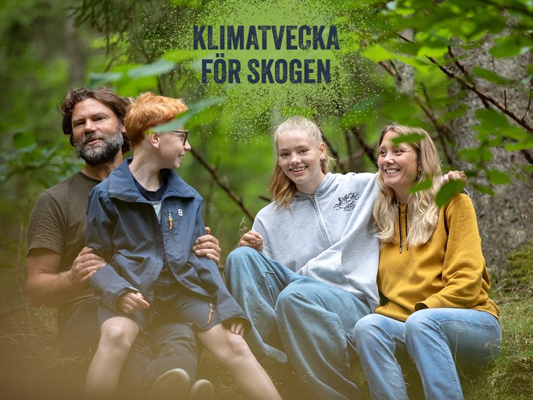 Glad familj sitter i skogen. 