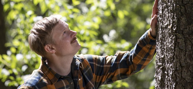 Person som letar efter granbarkborrar en solig sommardag. Foto: @ Camilla Zilo