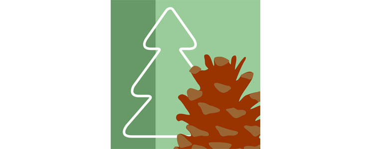 Symbolbild för miljökvalitetsmålet Levande skogar med en gran och en kotte.