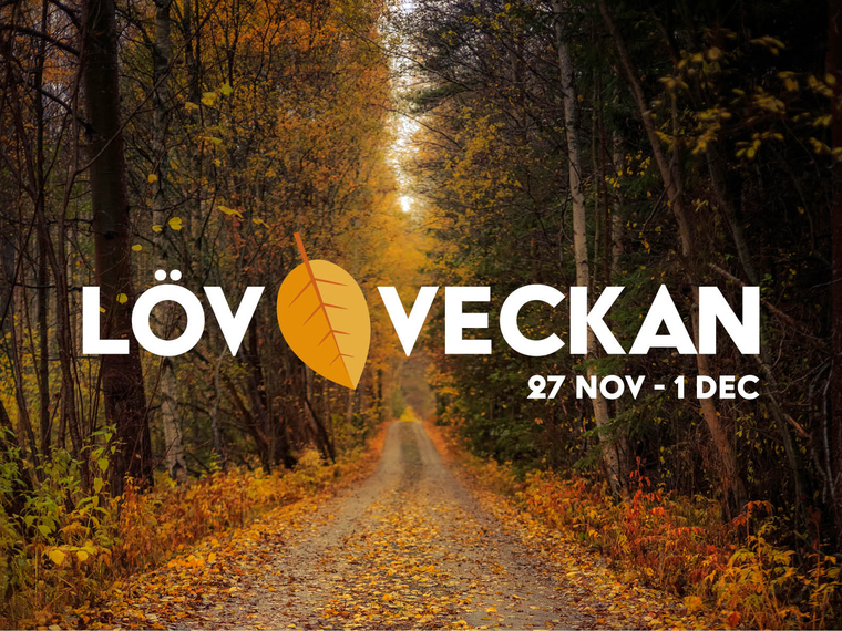 Foto på skogsväg genom höstlövskog med logotyp Lövveckan Skogsstyrelsen