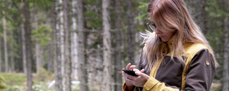 Kvinna i skogen kollar på sin mobil. 