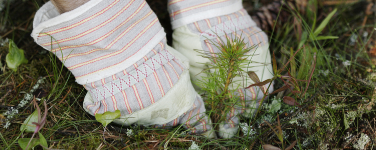 close-up of hands planting a pine seedling outdoors