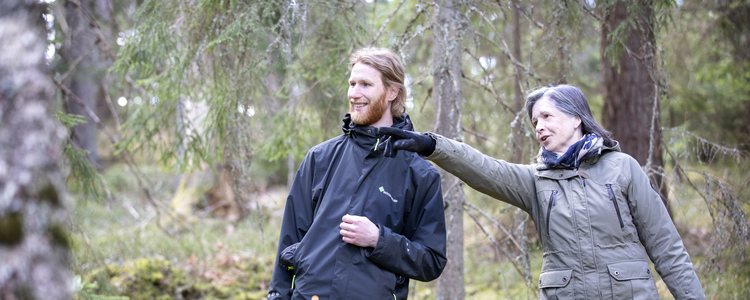 Rådgivning och planering inför hyggesfritt skogsbruk. Foto: Camilla Zilo