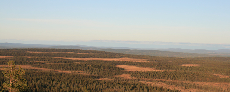 Myrlandskap