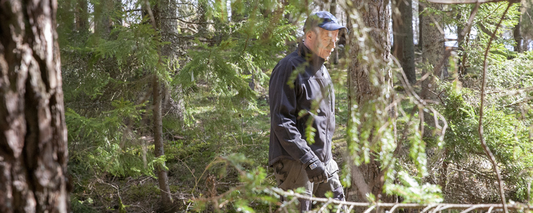 Skogsägare som går i skogen.  Foto: @ Camilla Zilo