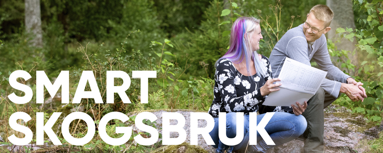 En kvinna och en man tittar på en skogsbruksplan. Texten Smart skogsbruk finns inlagd i bilden.